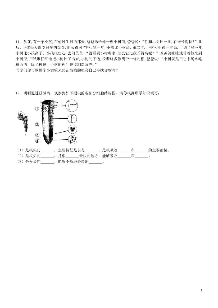 2023学年七年级生物上册第3单元生物圈中的绿色植物第5章绿色植物的一生5.2植物根的生长同步练习含解析苏教版.doc_第2页