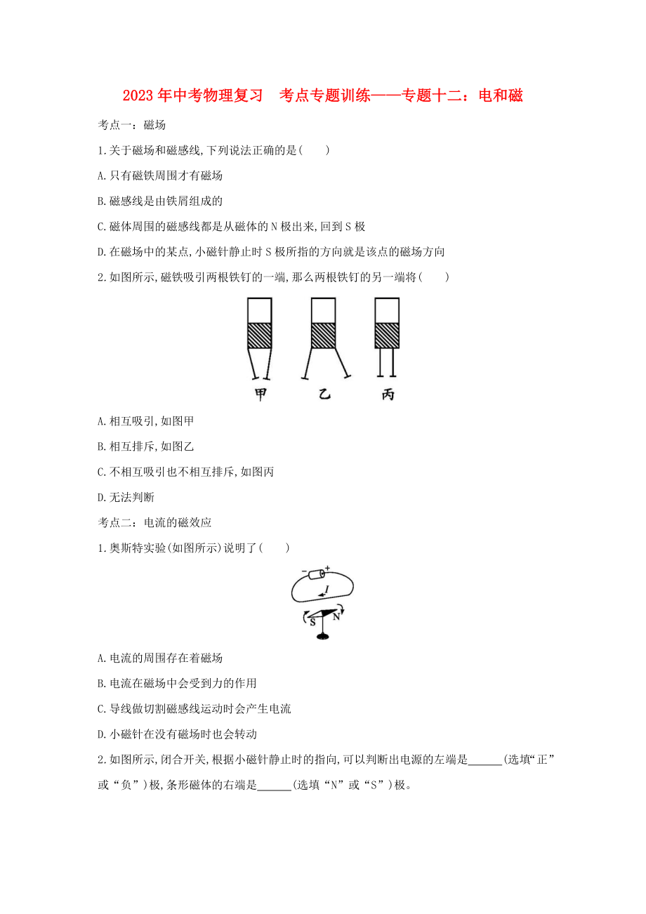 2023学年中考物理复习考点专题训练_专题十二电和磁含解析.doc_第1页