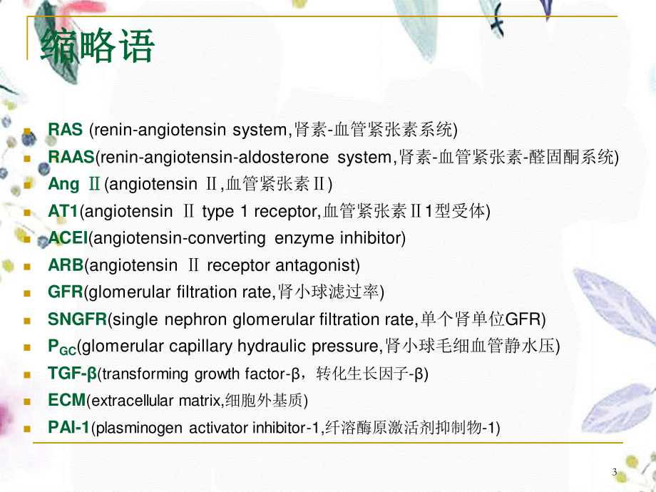 2023年ACEIARB的肾保护作用及其监护（教学课件）.ppt_第3页