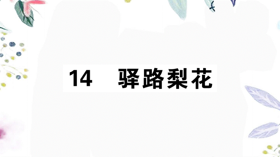 2023学年春七年级语文下册第四单元14驿路梨花习题课件（人教版）2.pptx_第1页