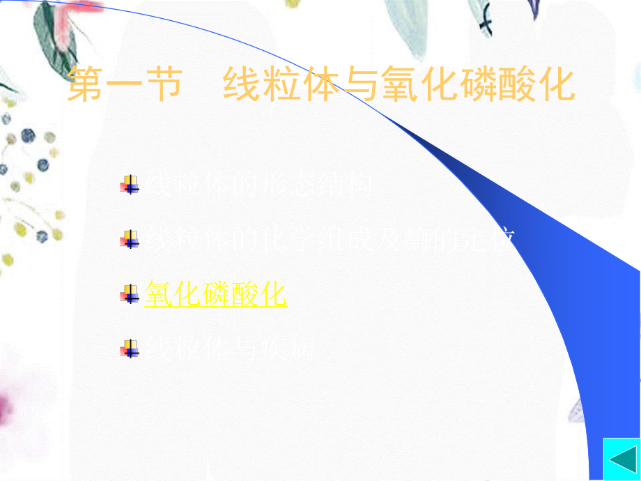 2023年chapter线粒体和叶绿体（教学课件）.ppt_第3页