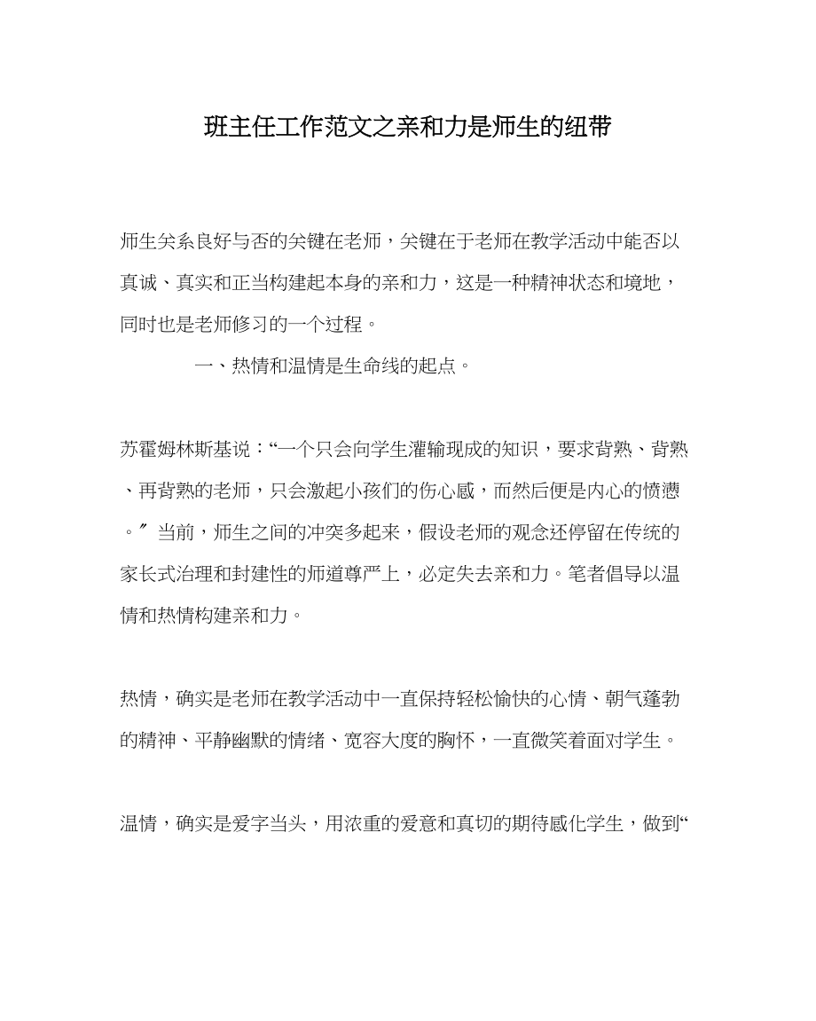 2023年班主任工作范文亲和力是师生的纽带.docx_第1页