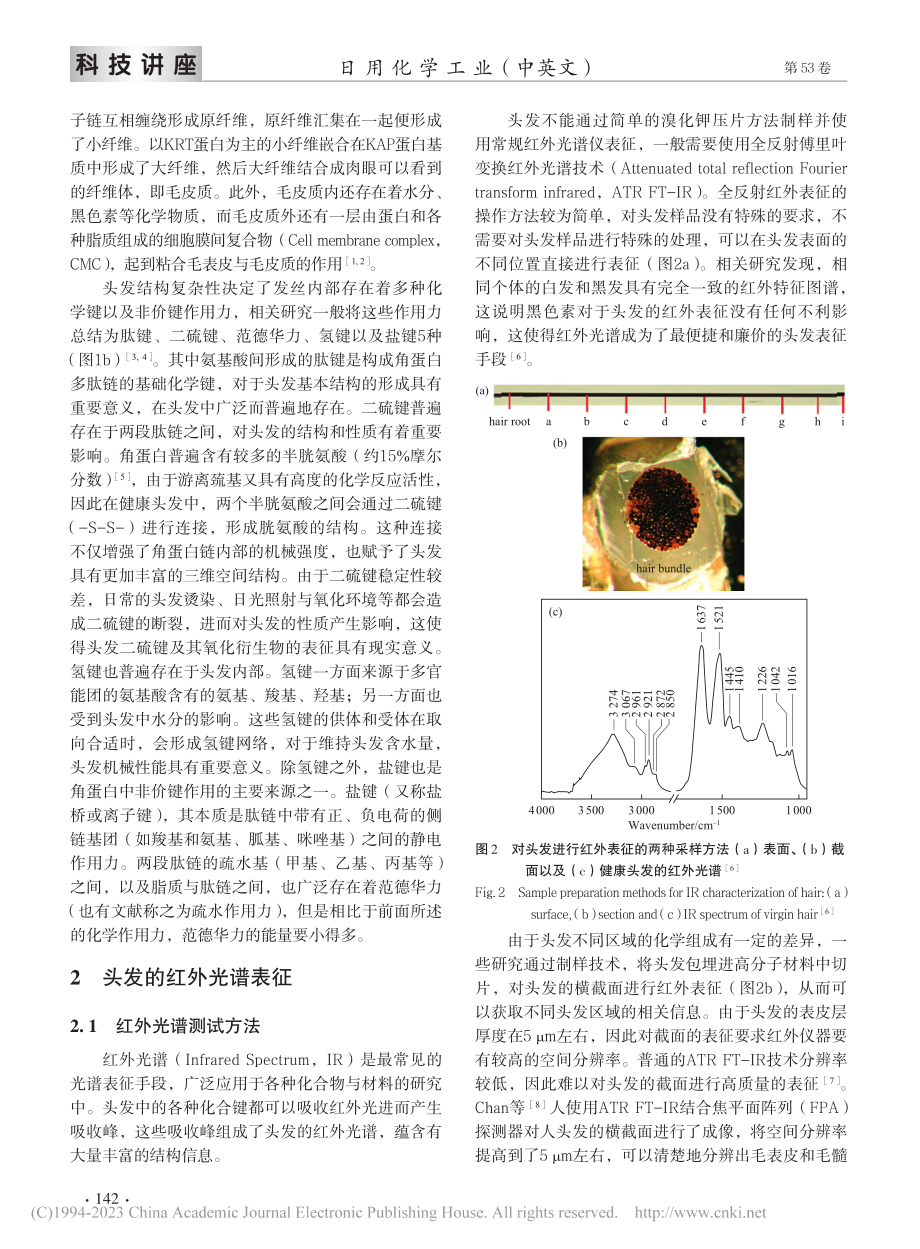 头发性质与头发护理的科学基...Ⅱ）——头发的谱学表征技术_常宽.pdf_第3页