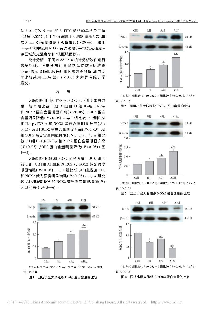 睡眠剥夺对小鼠大肠组织炎症反应和氧化应激的影响_王鑫梅.pdf_第3页