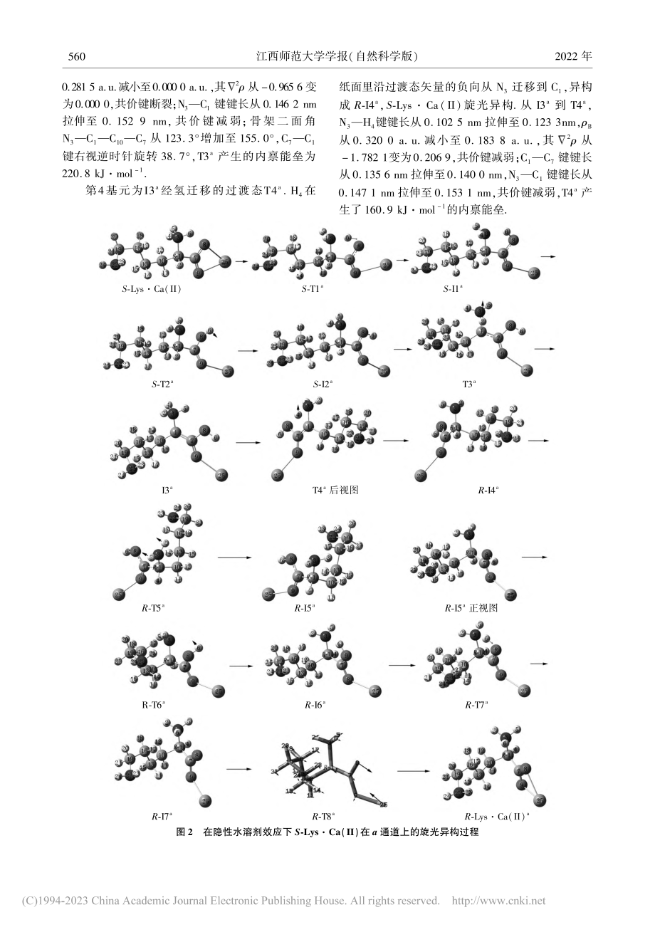 水液相下赖氨酸钙(II)配合物旋光异构的DFT研究_柳国洪.pdf_第3页