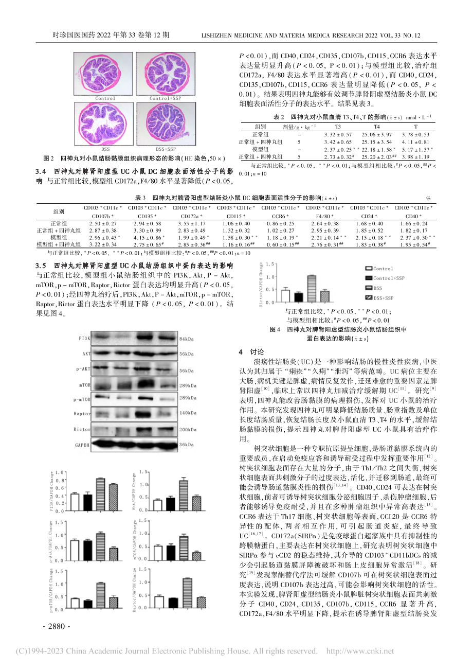 四神丸对脾肾阳虚型结肠炎小...胞表面共刺激分子的调控作用_刘素萍.pdf_第3页