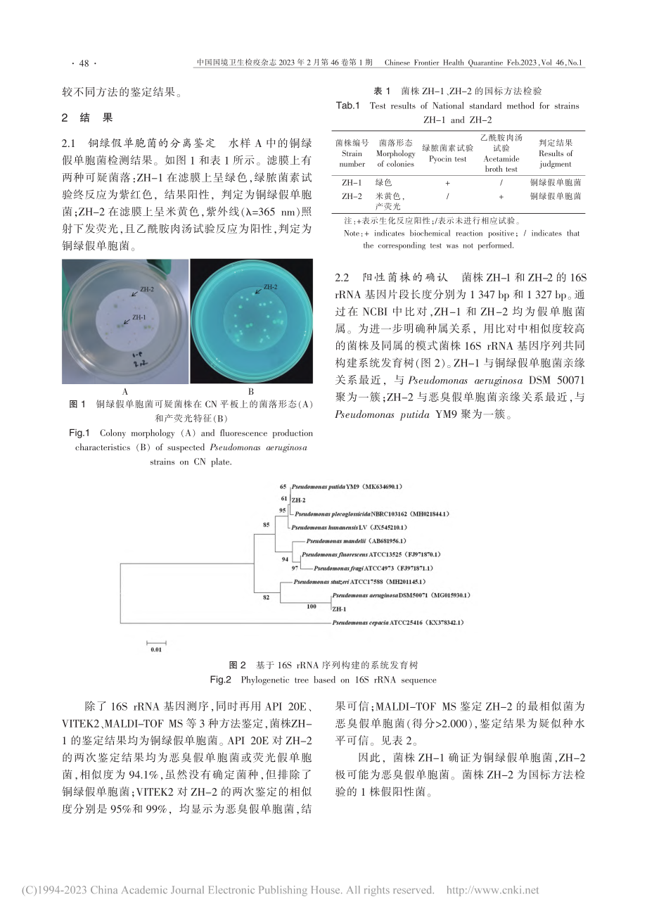 铜绿假单胞菌假阳性株的鉴定方法比较及应用_章志超.pdf_第3页