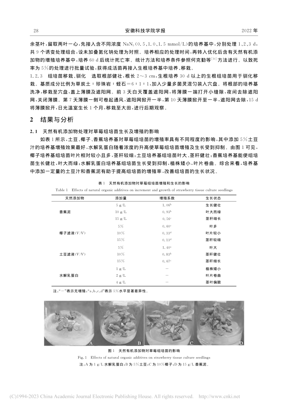 天然有机添加物对草莓组培苗...aN_3离体诱变体系的建立_徐梦琴.pdf_第3页