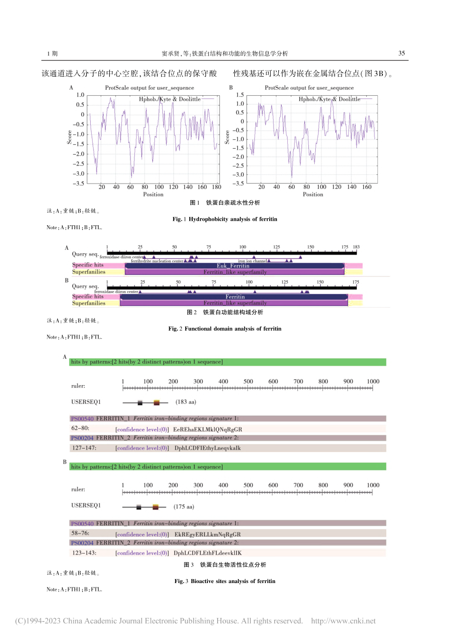 铁蛋白结构和功能的生物信息学分析_窦承贤.pdf_第3页