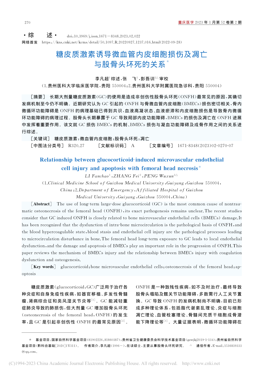 糖皮质激素诱导微血管内皮细...伤及凋亡与股骨头坏死的关系_李凡超.pdf_第1页