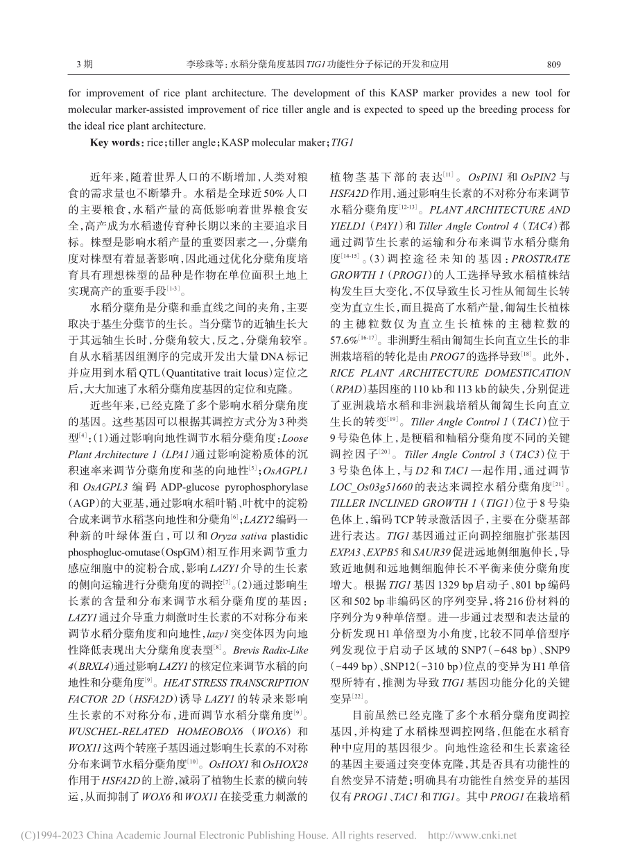 水稻分蘖角度基因TIG1功能性分子标记的开发和应用_李珍珠.pdf_第2页