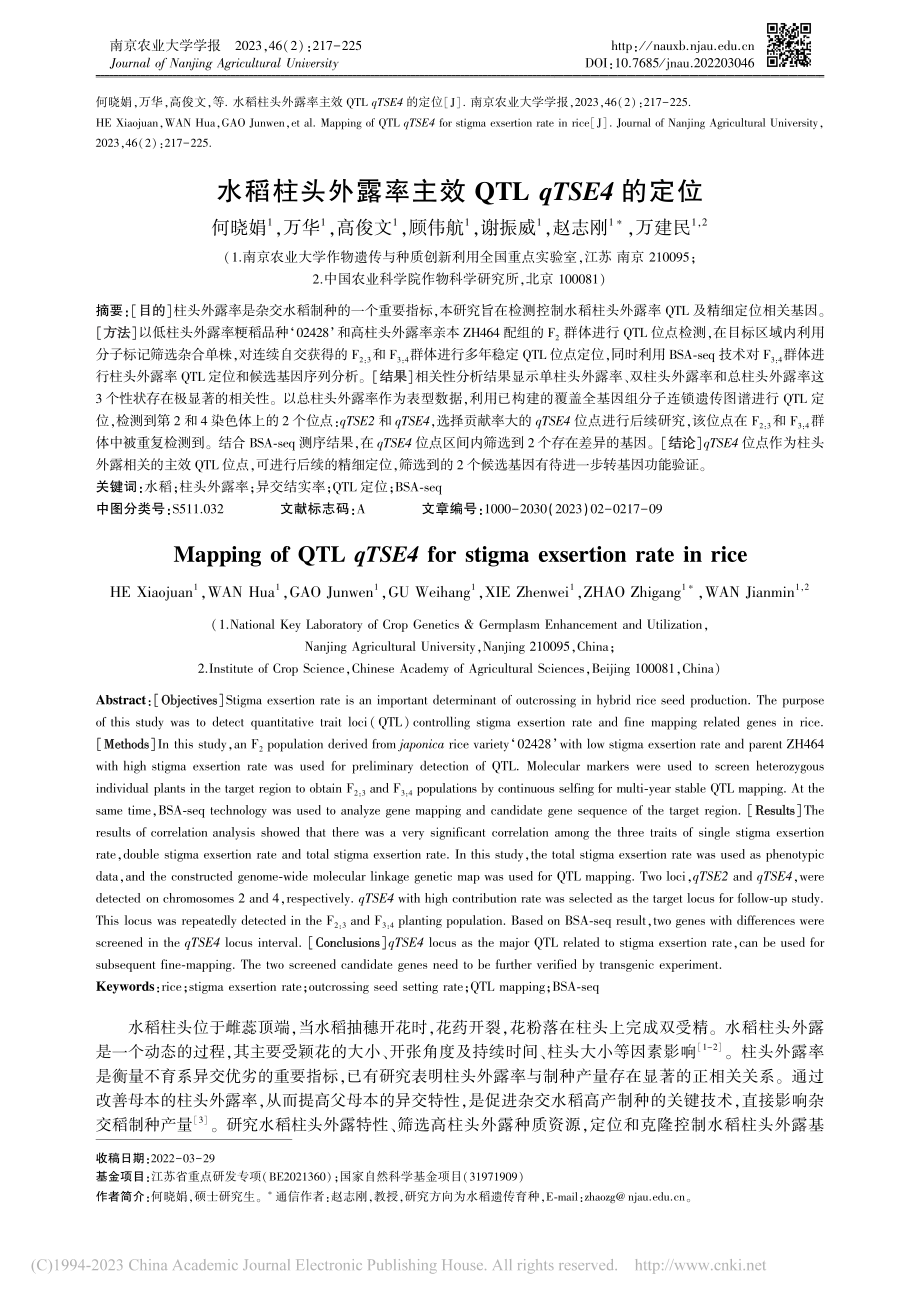 水稻柱头外露率主效QTL_qTSE4的定位_何晓娟.pdf_第1页