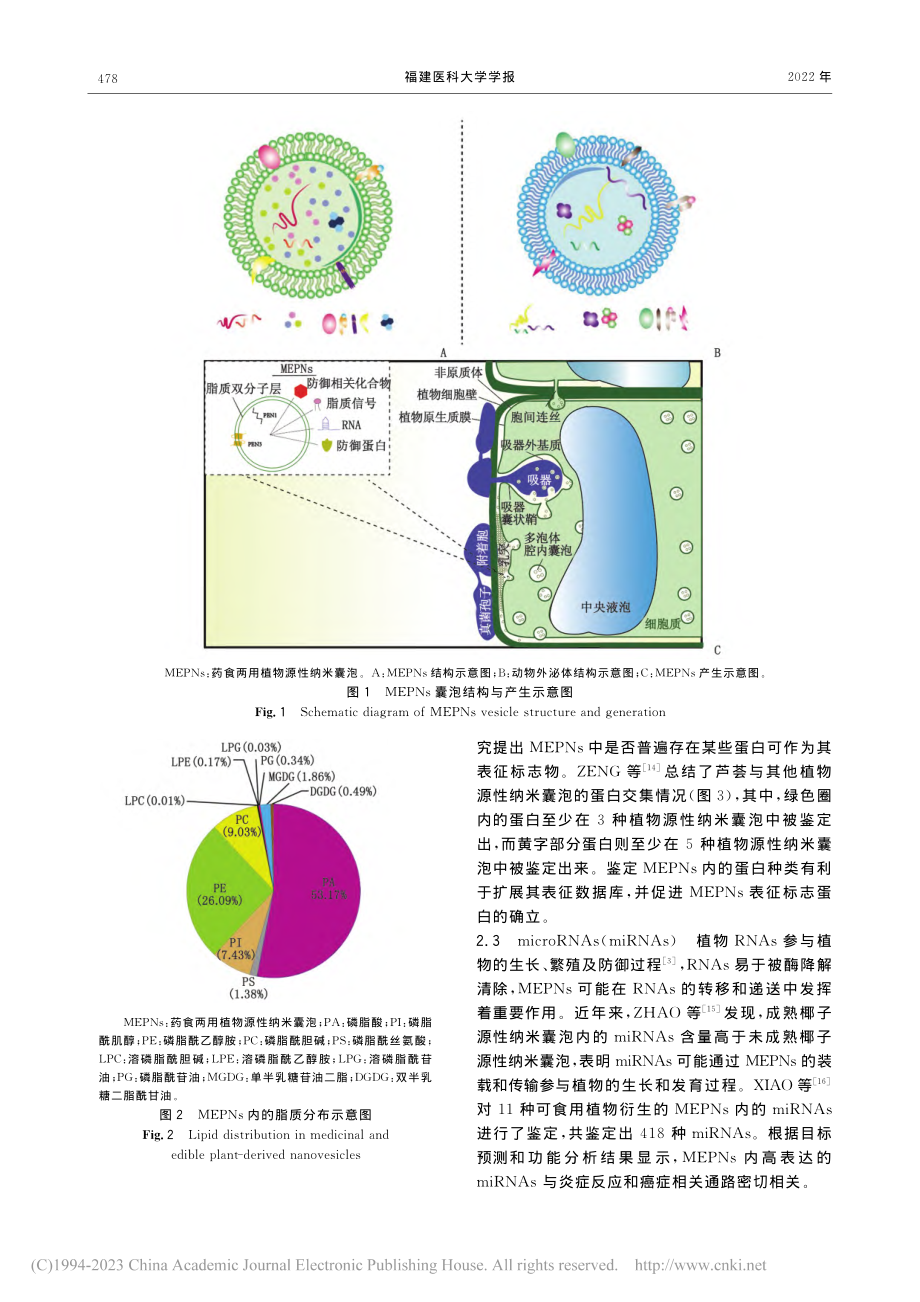 药食两用植物源性纳米囊泡在疾病治疗领域的研究进展_陈婷婷.pdf_第2页