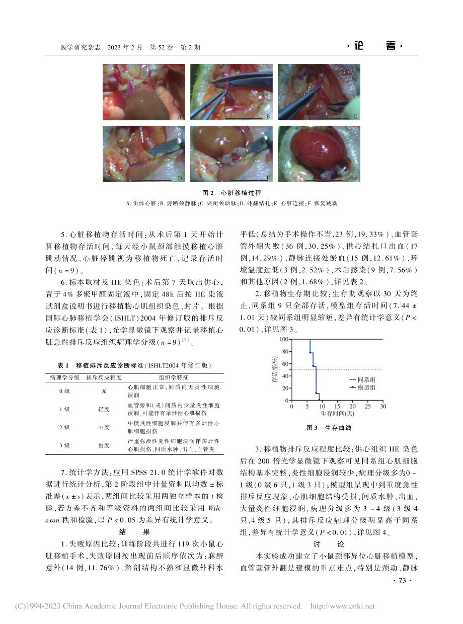 小鼠颈部异位心脏移植模型的初步探索_刘一纬.pdf_第3页