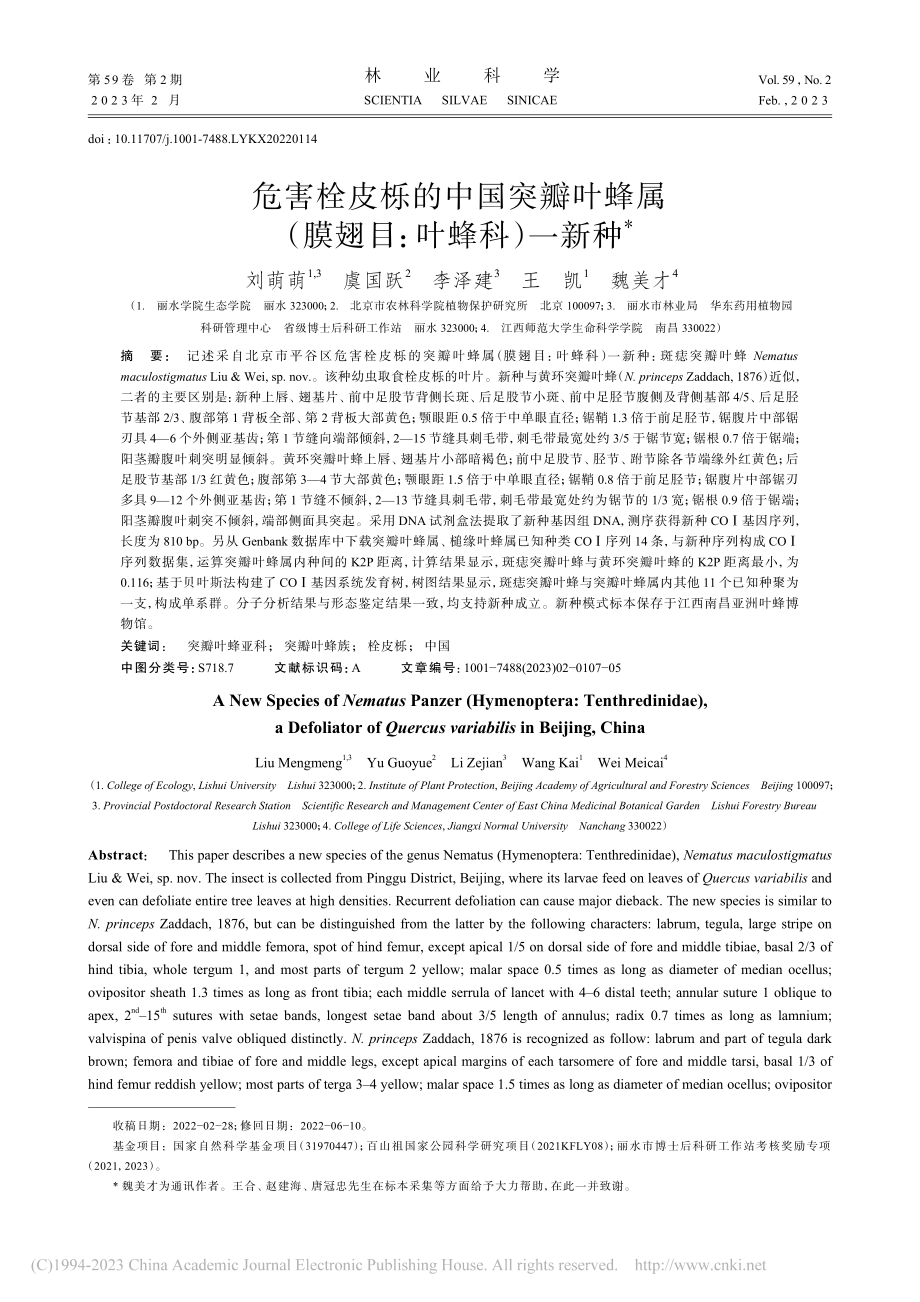 危害栓皮栎的中国突瓣叶蜂属（膜翅目：叶蜂科）一新种_刘萌萌.pdf_第1页