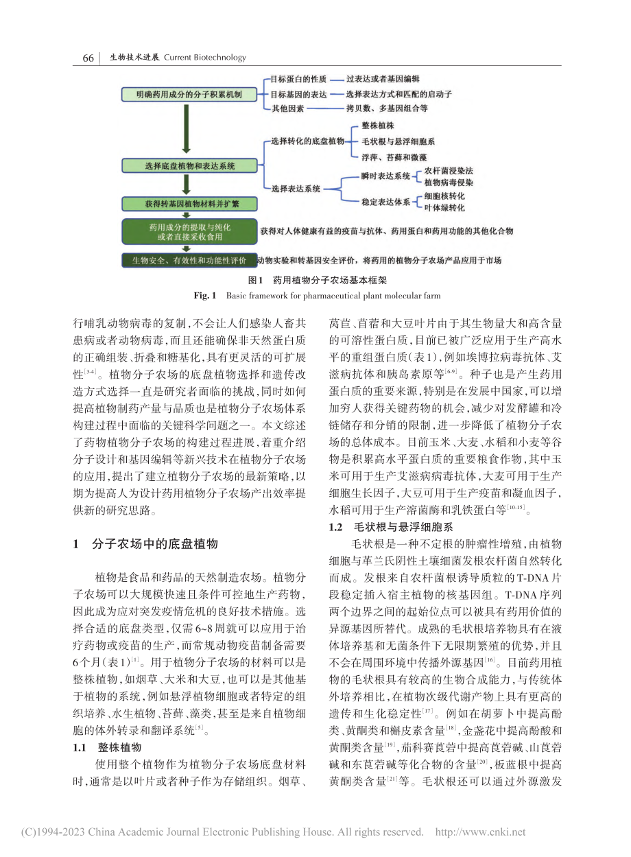 药用植物分子农场研究进展_孙卉.pdf_第2页