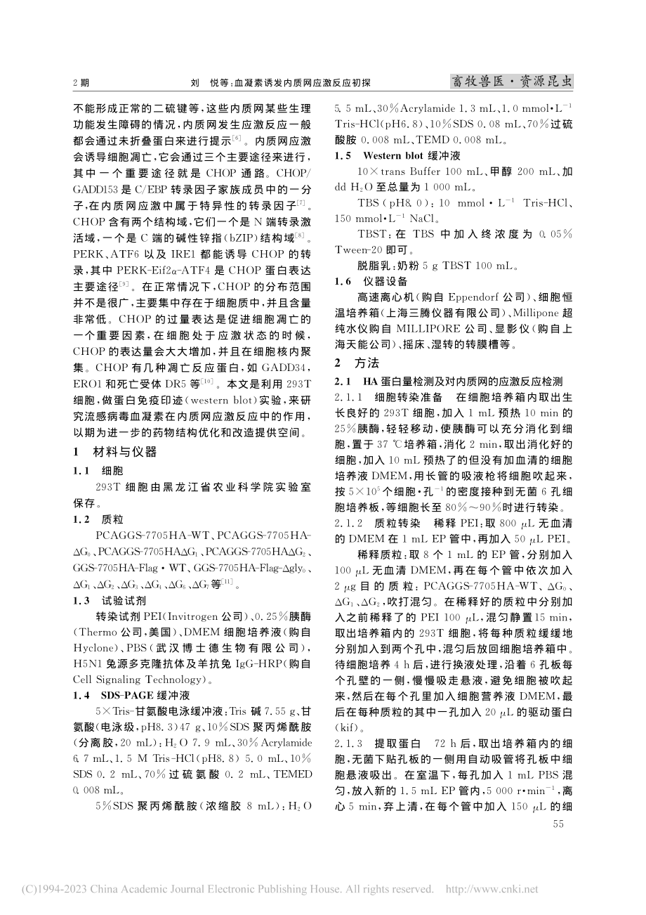 血凝素诱发内质网应激反应初探_刘悦.pdf_第2页