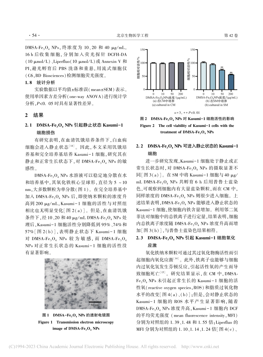 氧化铁纳米颗粒对静止状态白血病细胞的作用研究_李宛清.pdf_第3页