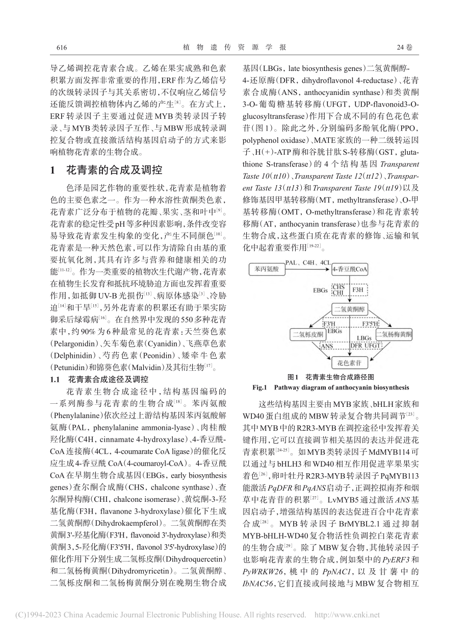 乙烯响应因子（ERFs）在植物花青素合成中的调控作用_刘菊.pdf_第2页