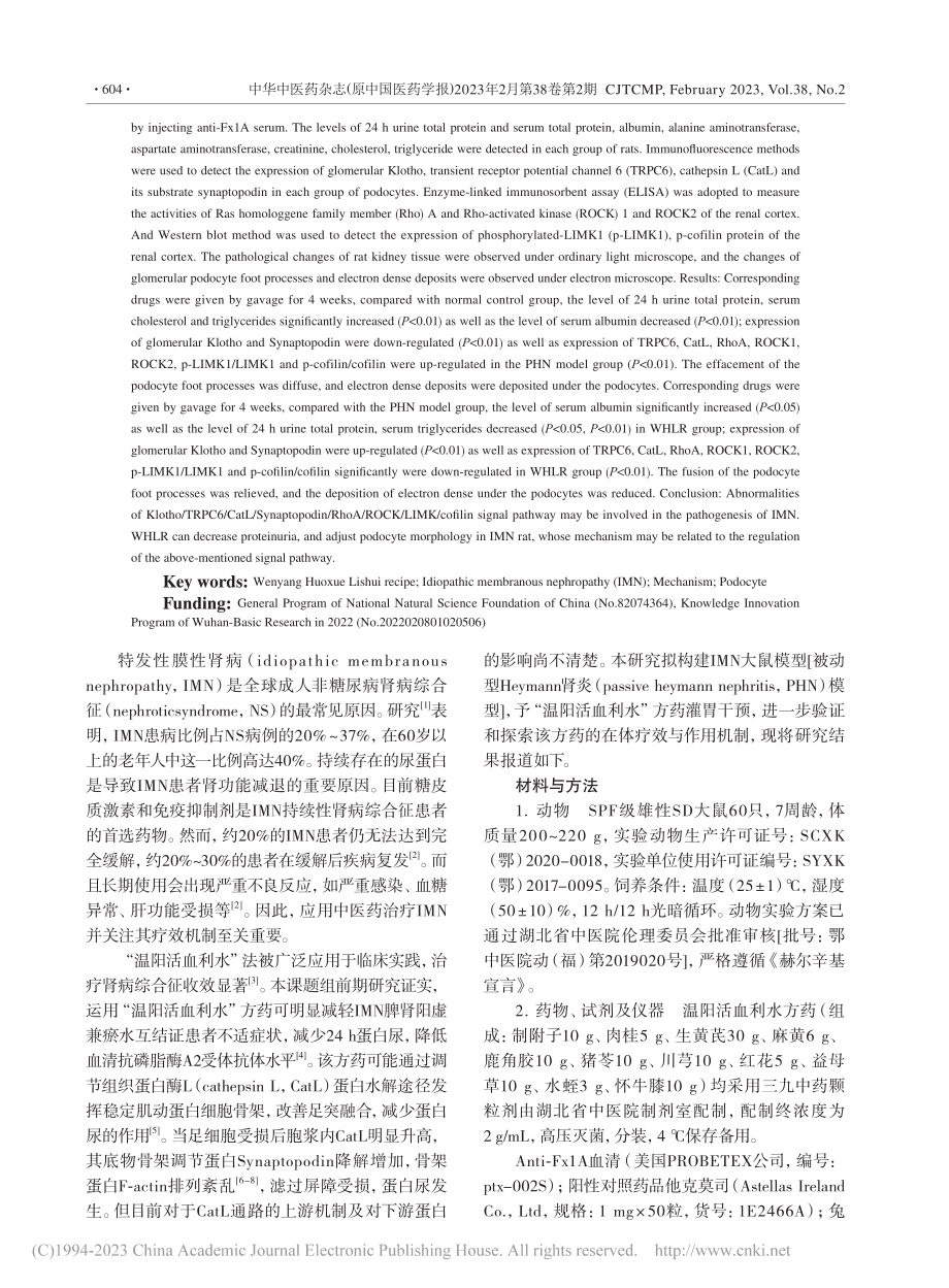 温阳活血利水方对被动型He...ann肾炎大鼠足细胞的影响_薛雪.pdf_第2页