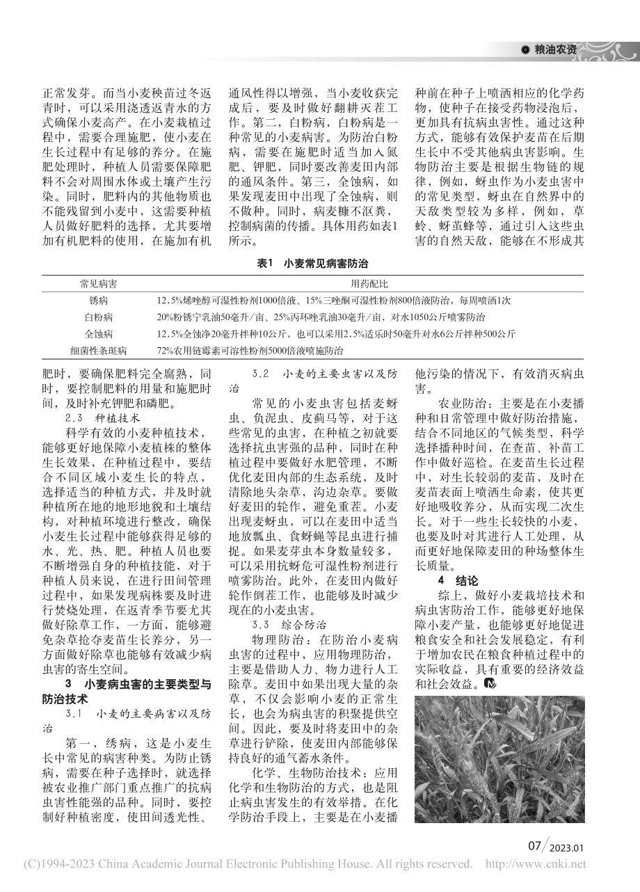 小麦栽培技术及病虫害防治措施_李慧.pdf_第2页