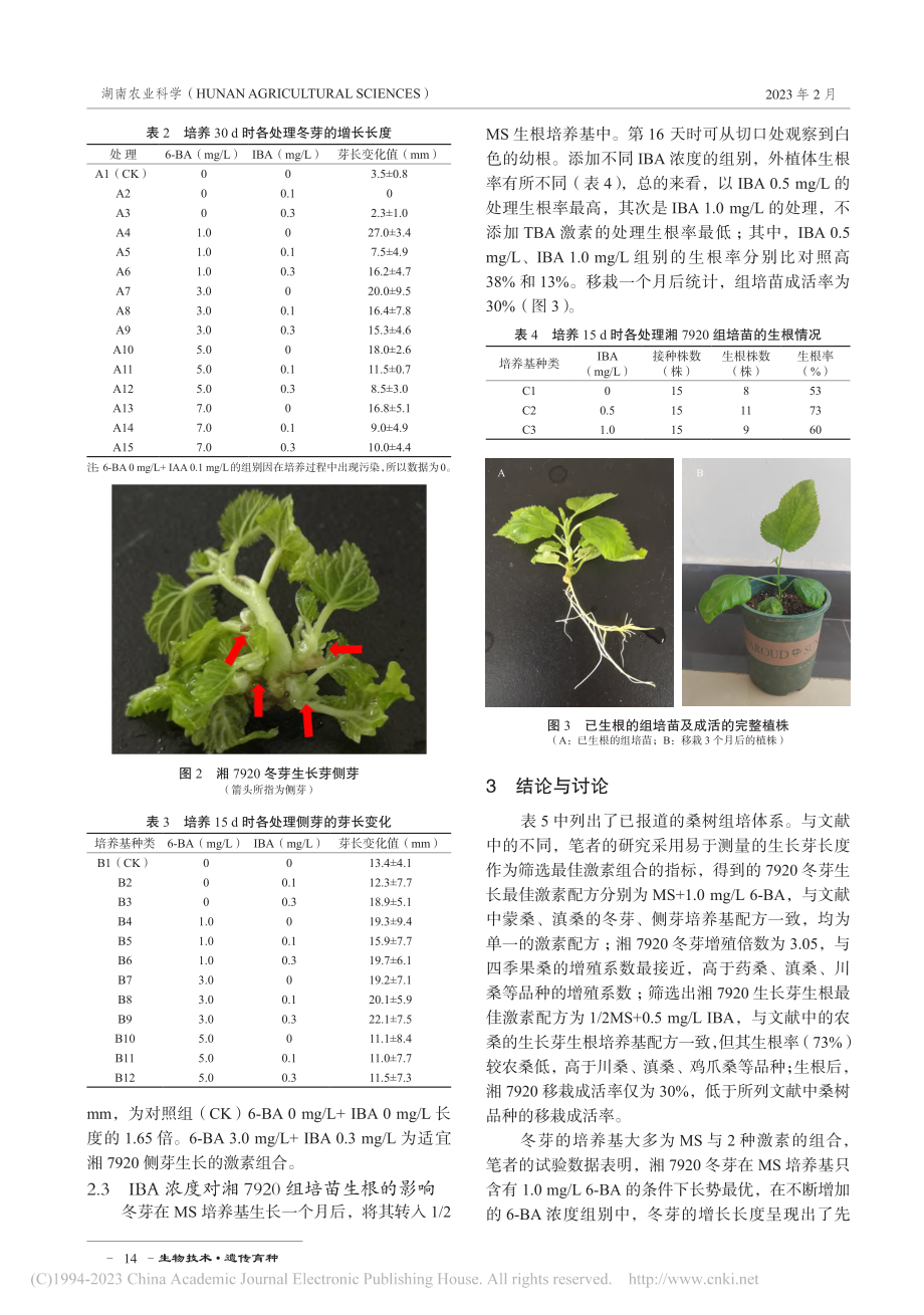 湘7920冬芽组织培养体系的初步建立_蒋诗梦.pdf_第3页