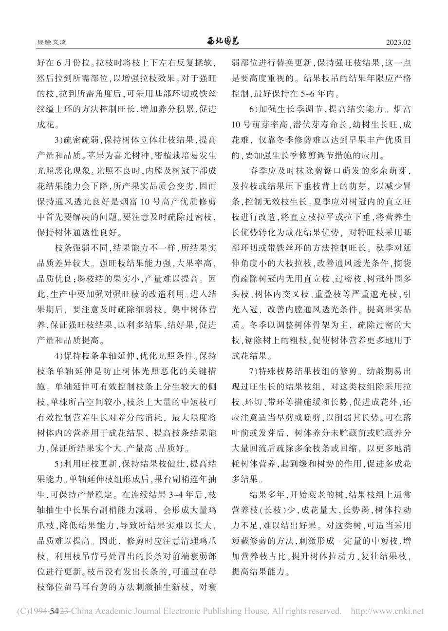 烟富10号苹果树整形修剪几点经验_马虽有.pdf_第2页