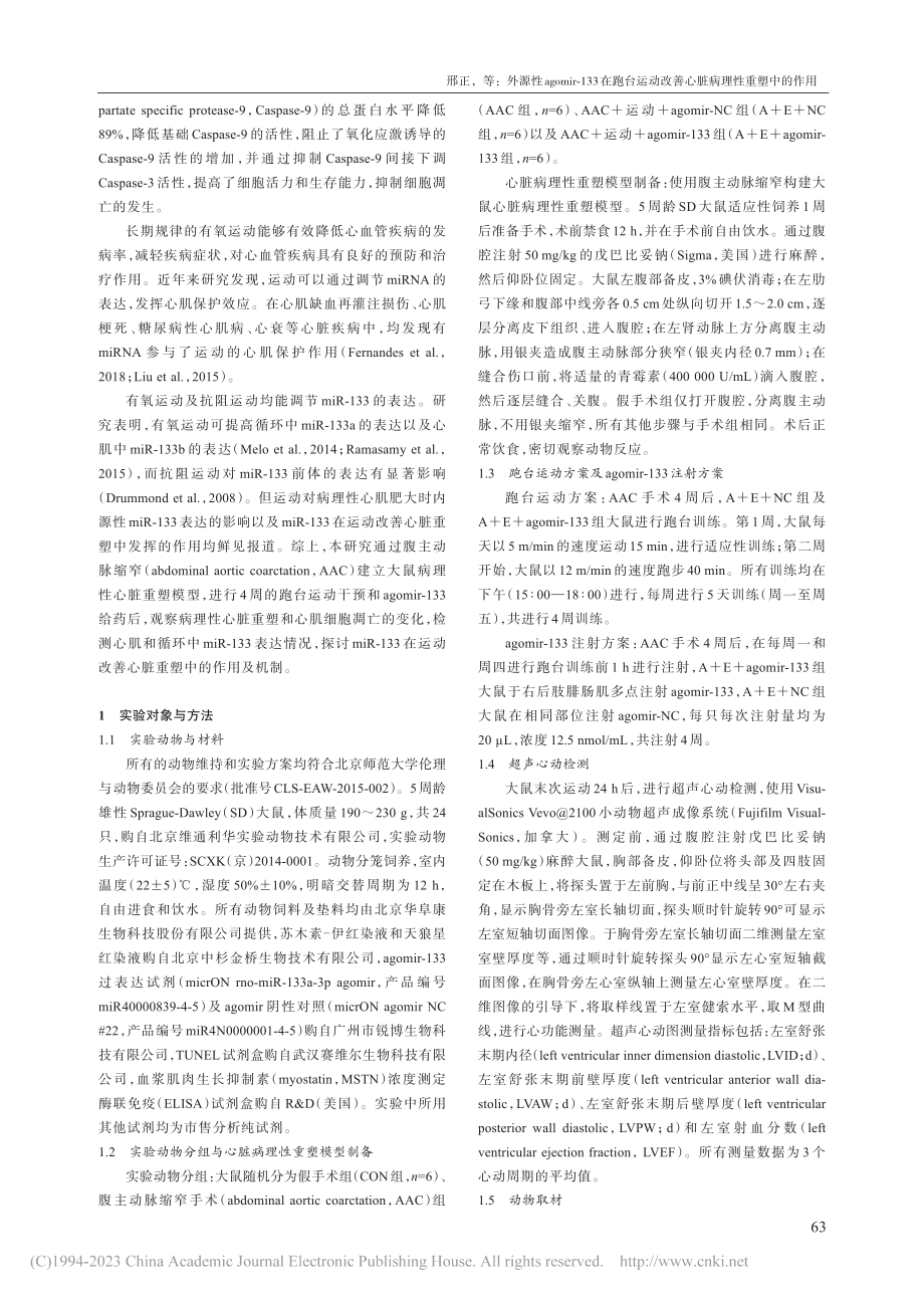 外源性agomir-133...改善心脏病理性重塑中的作用_邢正.pdf_第2页