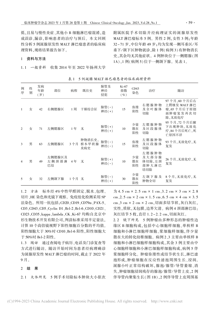 涎腺原发性MALT淋巴瘤5例临床病理分析_杨家佳.pdf_第2页