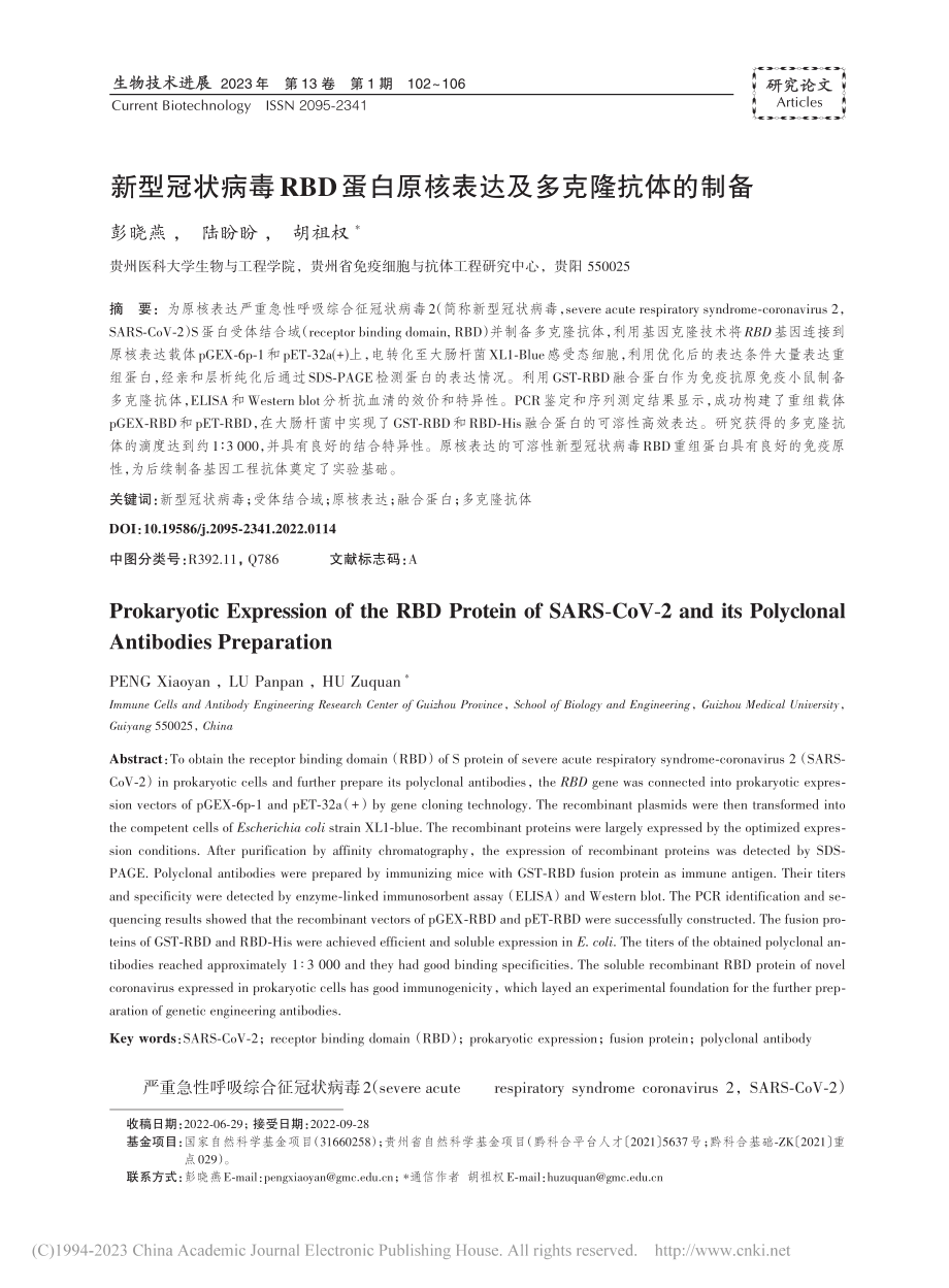 新型冠状病毒RBD蛋白原核表达及多克隆抗体的制备_彭晓燕.pdf_第1页