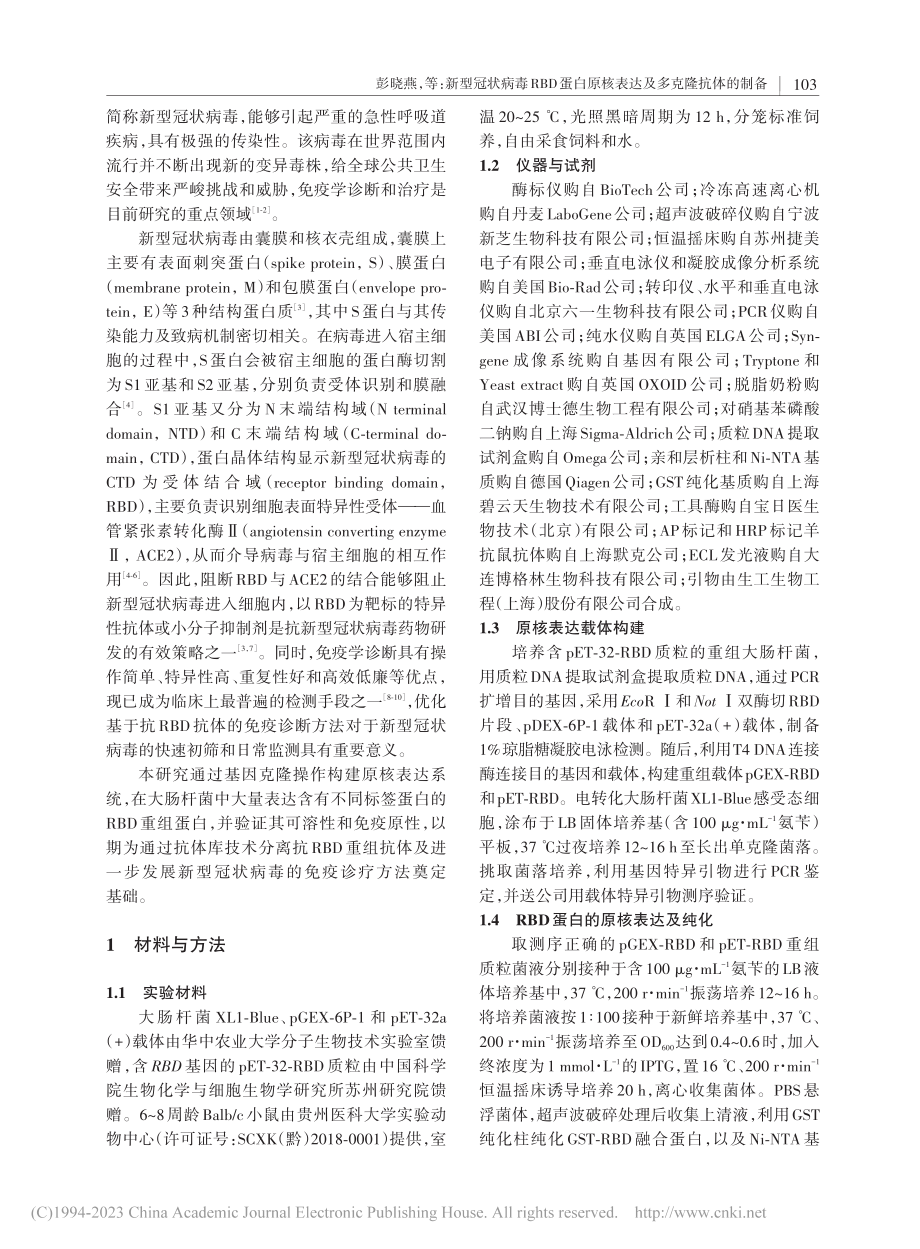 新型冠状病毒RBD蛋白原核表达及多克隆抗体的制备_彭晓燕.pdf_第2页