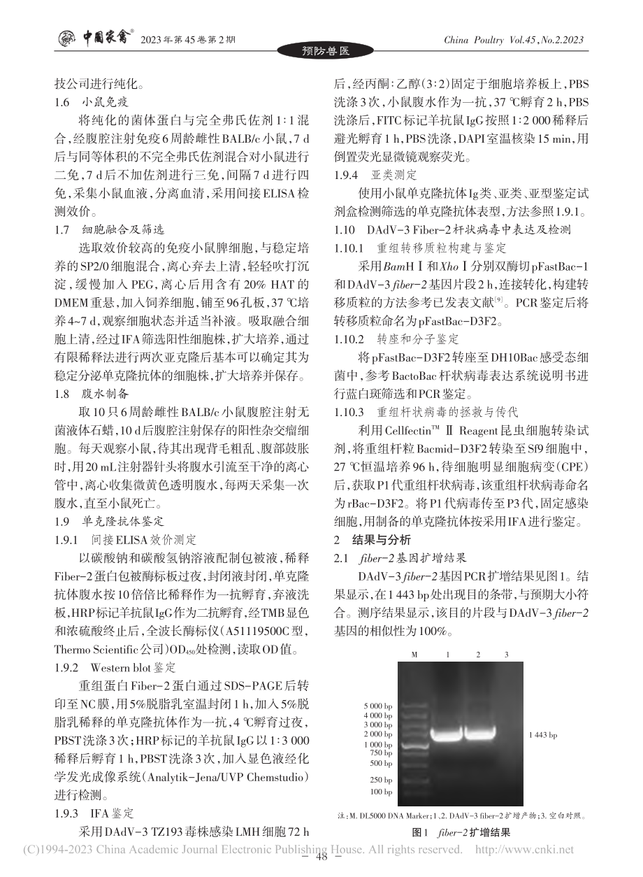 鸭腺病毒3型Fiber-2...单克隆抗体的制备及初步应用_魏常青.pdf_第3页