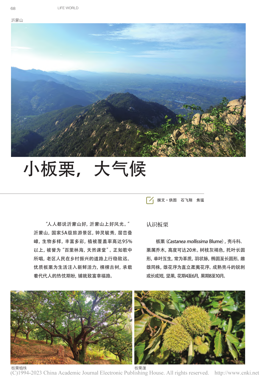 小板栗大气候_石飞翔.pdf_第1页