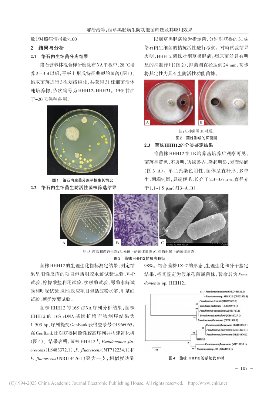 烟草黑胫病生防功能菌筛选及其应用效果_郝浩浩.pdf_第3页