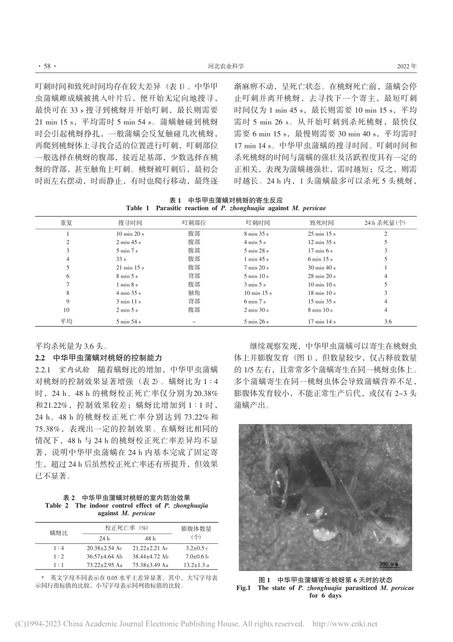 中华甲虫蒲螨对桃蚜控制潜能的研究_李立涛.pdf_第3页