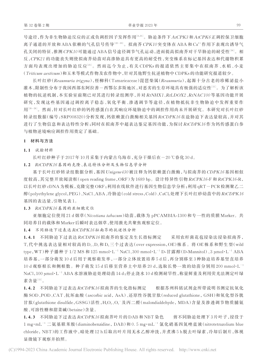 长叶红砂钙依赖蛋白激酶Rt...K16的非生物胁迫应答分析_张洁.pdf_第3页