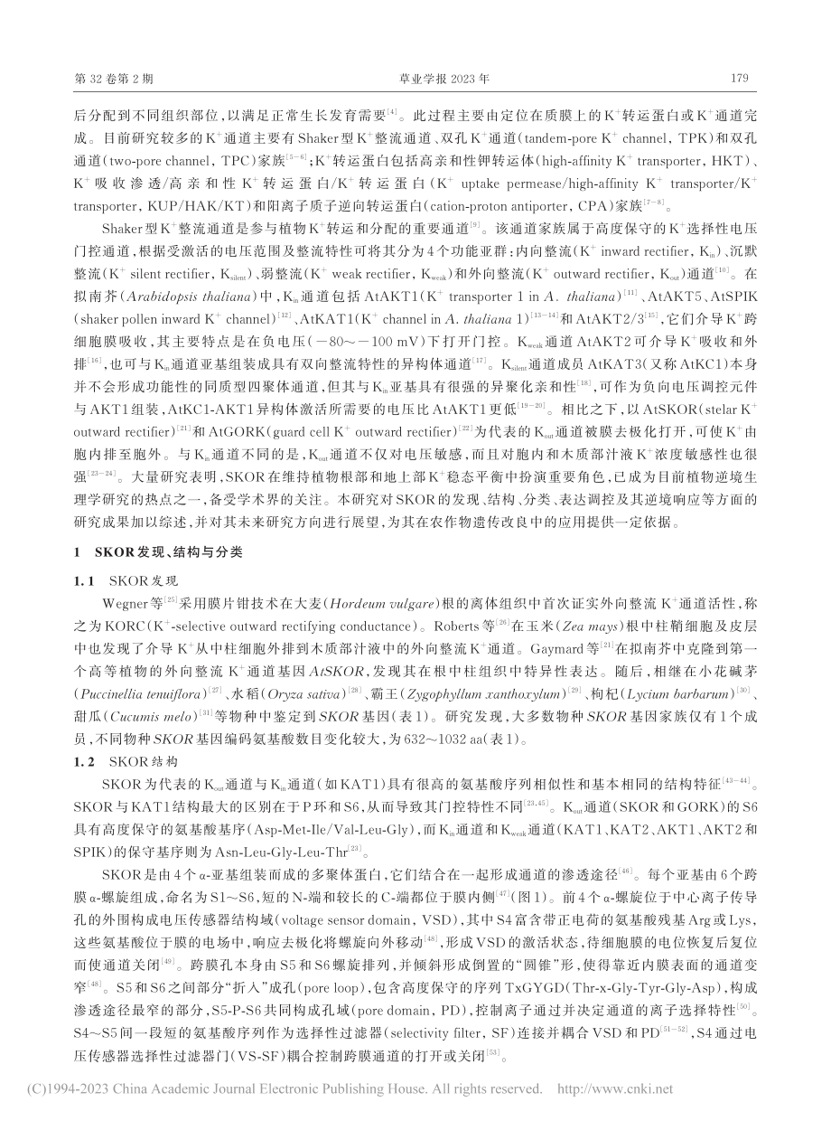 植物外向整流K-+通道SKOR研究进展_任盼盼.pdf_第2页