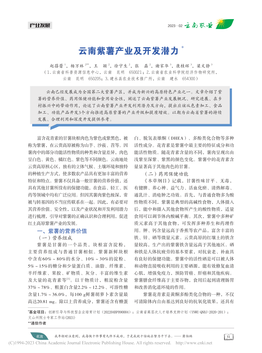 云南紫薯产业及开发潜力_赵蓓蕾.pdf_第1页