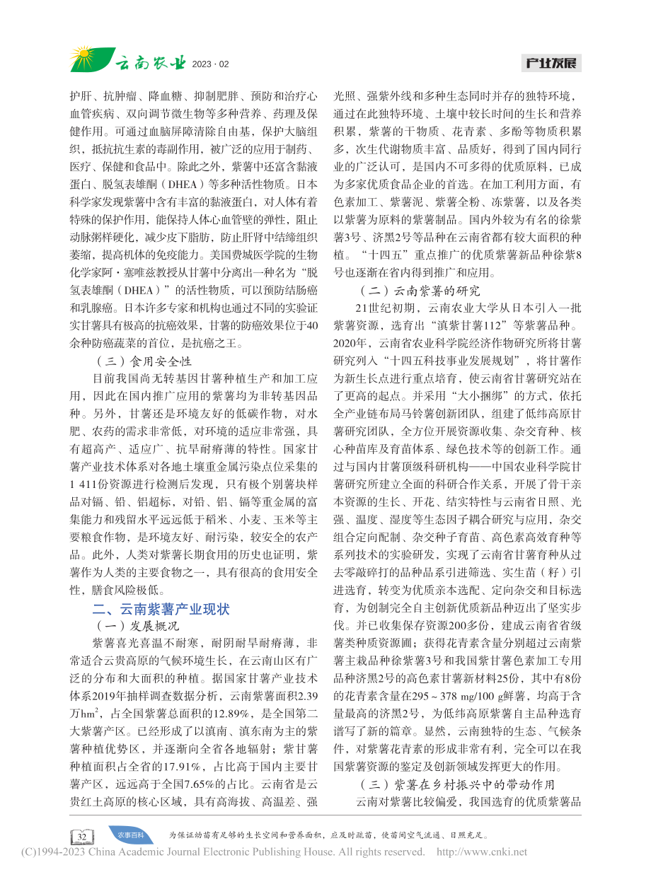 云南紫薯产业及开发潜力_赵蓓蕾.pdf_第2页