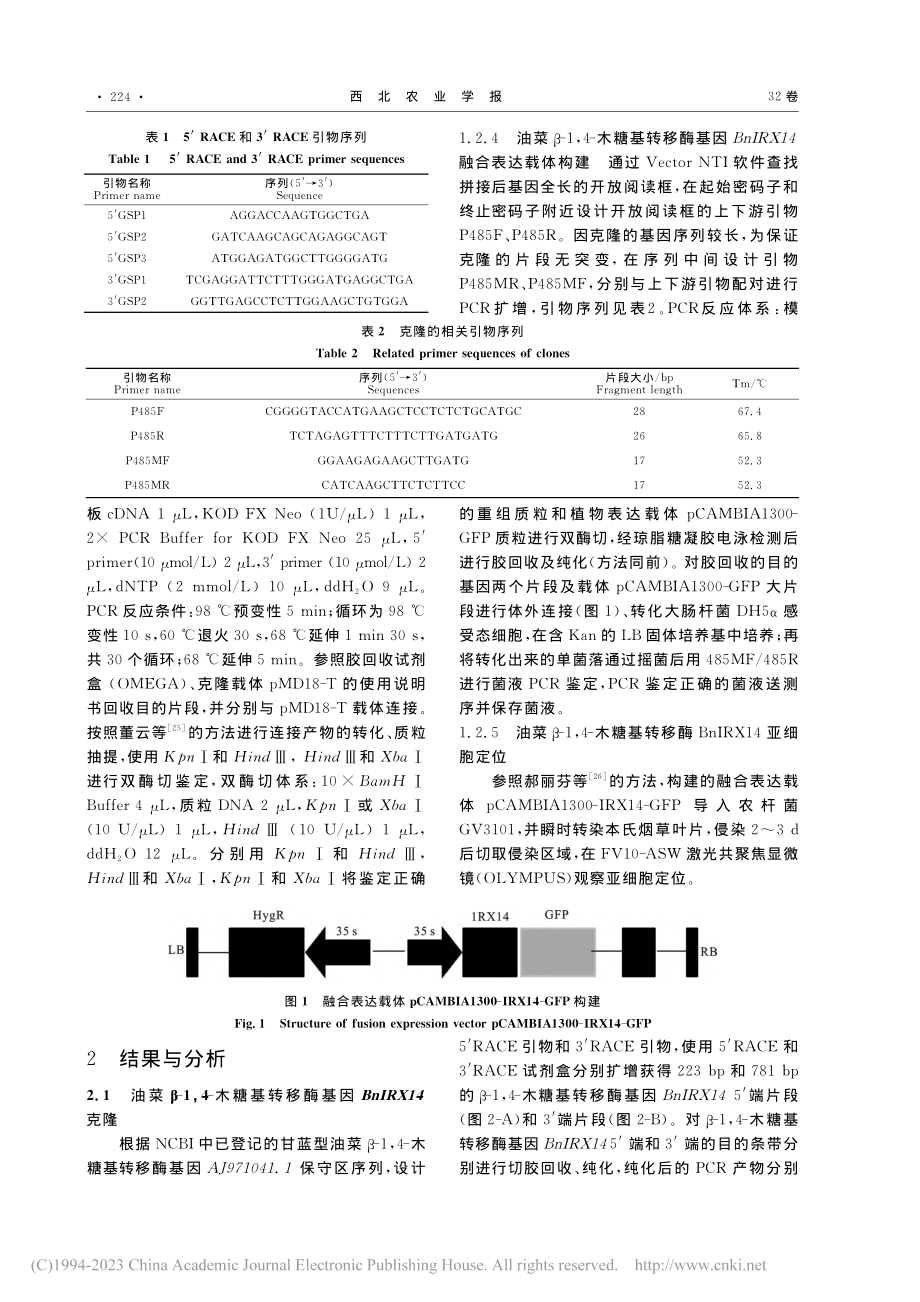 油菜(Brassica_n...克隆、序列分析及亚细胞定位_董云.pdf_第3页