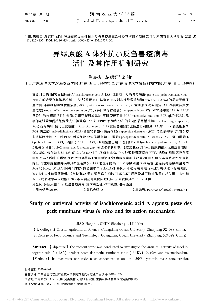 异绿原酸A体外抗小反刍兽疫病毒活性及其作用机制研究_焦豪杰.pdf_第1页