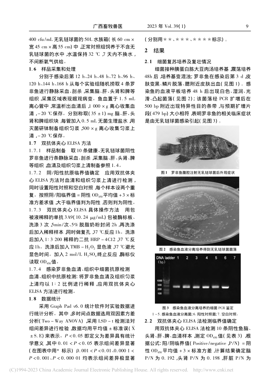 应用双抗体夹心ELISA检...球菌后组织和血清中抗原变化_曾子轩.pdf_第3页