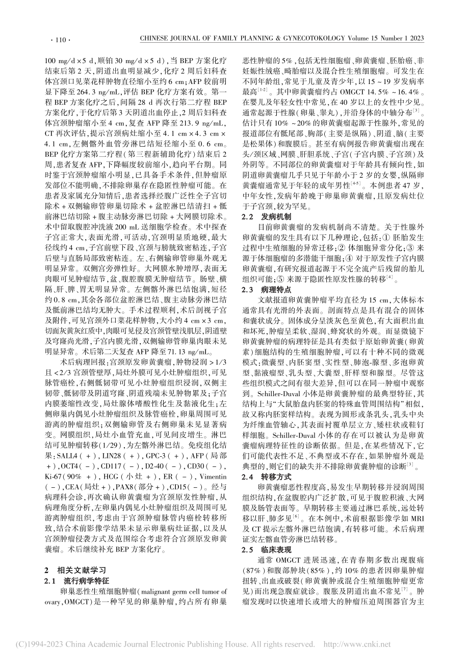 原发性子宫颈卵黄囊瘤1例并文献复习_许水清.pdf_第2页