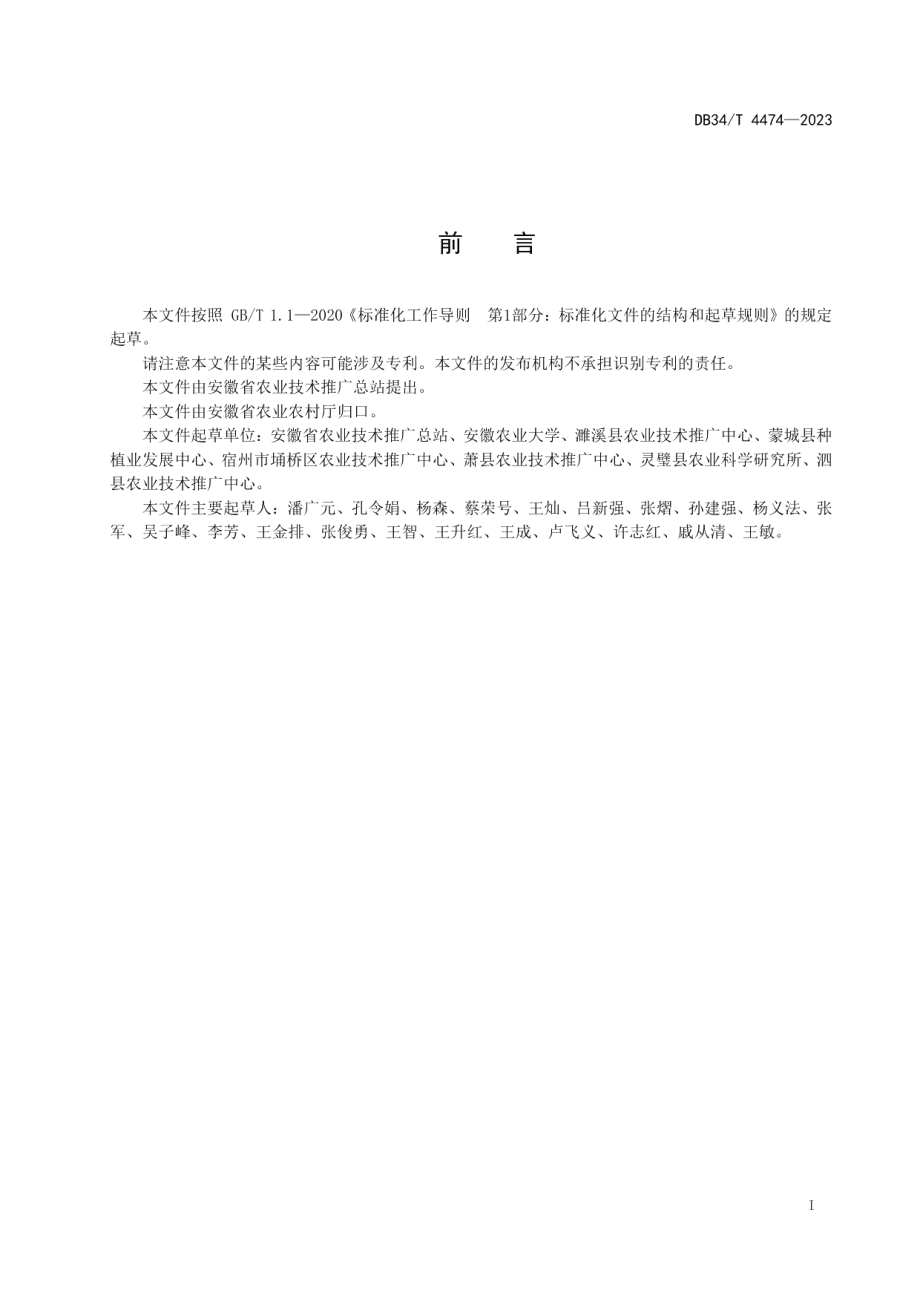 DB34T 4474-2023玉米苗情监测技术规范.pdf_第3页