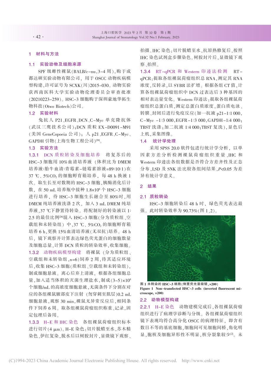 上调Decorin对口腔鳞...-Myc、p21表达的影响_郭梦瑶.pdf_第3页