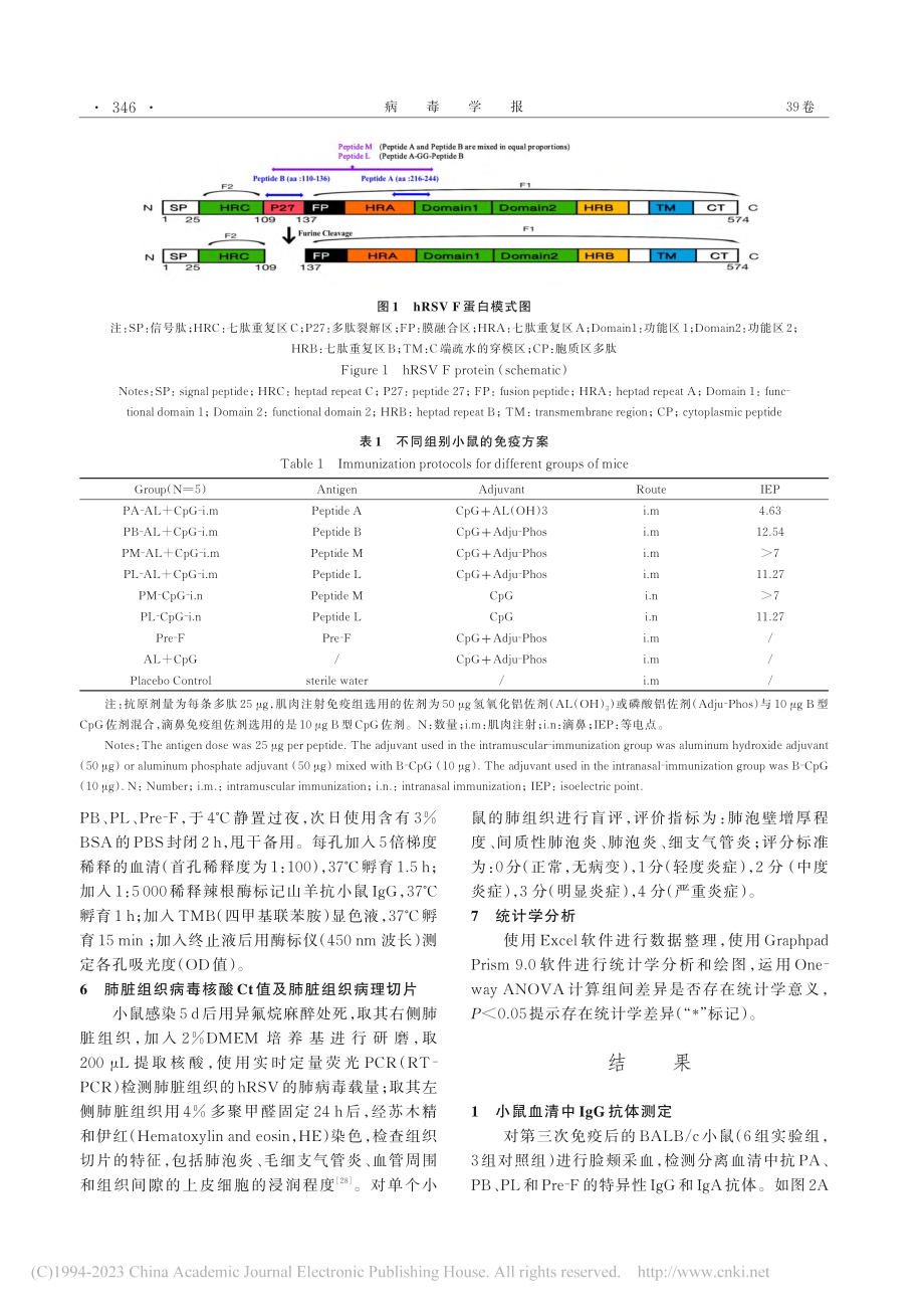 人呼吸道合胞病毒F蛋白多肽免疫原性的初步研究_胡宏俏.pdf_第3页