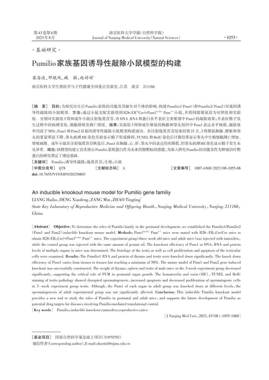 Pumilio家族基因诱导性敲除小鼠模型的构建.pdf_第1页