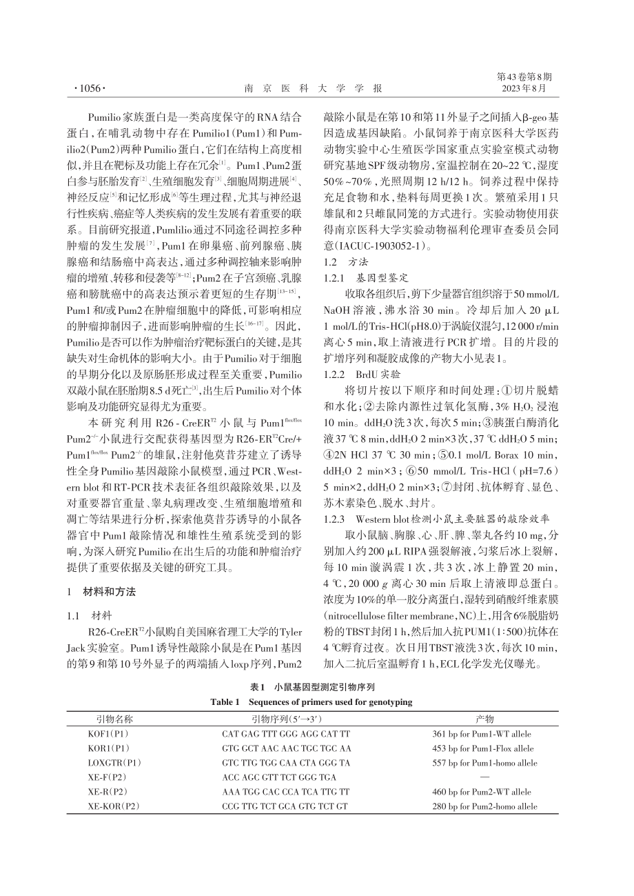 Pumilio家族基因诱导性敲除小鼠模型的构建.pdf_第2页