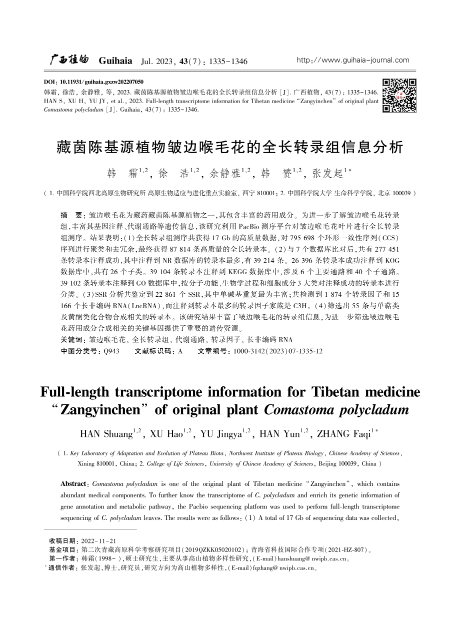 藏茵陈基源植物皱边喉毛花的全长转录组信息分析.pdf_第1页