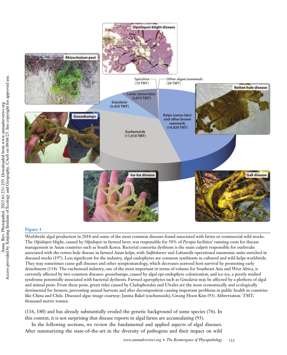 The Reemergence of Phycopathology_ When Algal Biology Meets Ecology.pdf_第3页